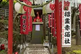 招霊赤猫社