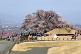 笛吹市役所 八代ふるさと公園