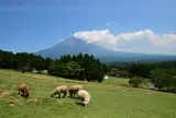 まかいの牧場