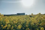 あわじ花さじき
