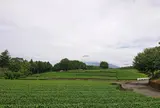 大淵笹場駐車場