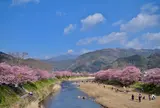 河津桜まつり