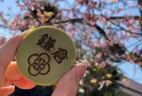 アルブルノワール