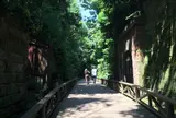 猿島