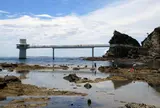 勝浦海中公園センター