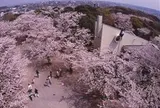 太田山公園