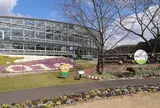 しまね花の郷