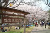 佐倉城址公園