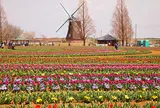 あけぼの山農業公園