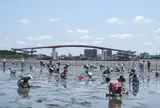 木更津海岸