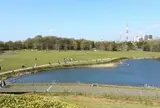 県立北総花の丘公園