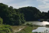石川県森林公園 三国山キャンプ場