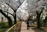 千代田区立五番町児童遊園