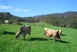 神津牧場