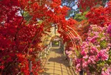 県立つつじが岡公園