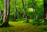 祇王寺