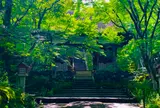 常寂光寺