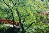 河鹿橋