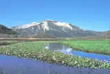 尾瀬沼