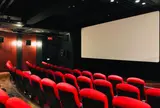 WHITE CINE QUINTO（ホワイト シネクイント）