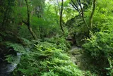 根本山