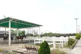 乗馬クラブ クレイン東海