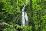 雲井の滝