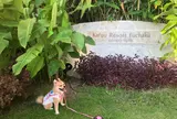 カフーリゾートフチャク コンドホテル
