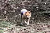 末吉公園