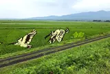 田んぼアート