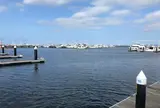 横浜ベイサイドマリーナ/横浜南部市場