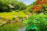 退蔵院
