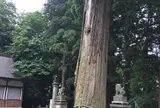 戸隠神社中社