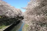 善福寺川緑地