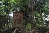 須佐神社