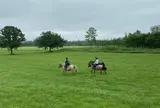 ｛乗馬｝森の馬小屋
