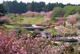 静峰ふるさと公園