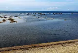 鵜ノ崎海岸