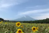 山中湖花の都公園