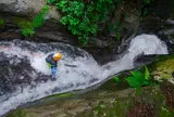 Nikko Jumbo 日光ジャンボ