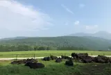 朝日の丘公園
