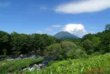 北海道ライオンアドベンチャー