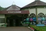 かすみがうら市水族館