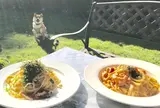 カフェ＆レストラン周