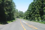 フルーツライン