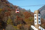 明智平ロープウェイ