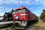 ザ・ヒロサワ・シティ野外広場