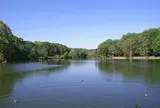 あれ？真岡じゃん。井の頭じゃないよ、井頭公園