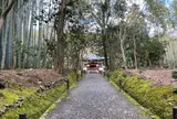 地蔵院（竹の寺）
