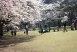黒磯公園